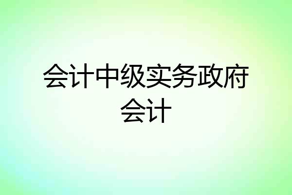 会计中级实务政府会计