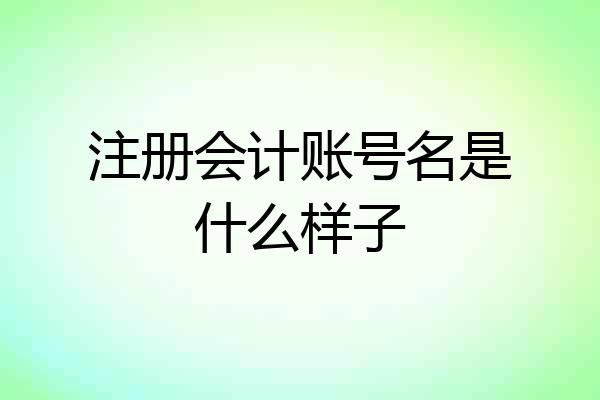注册会计账号名是什么样子