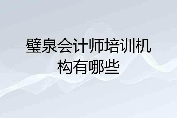 璧泉会计师培训机构有哪些
