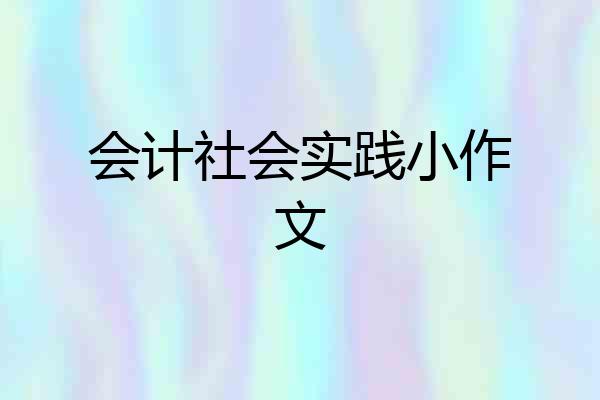 会计社会实践小作文