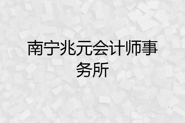 南宁兆元会计师事务所