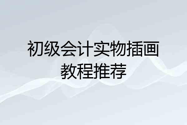 初级会计实物插画教程推荐