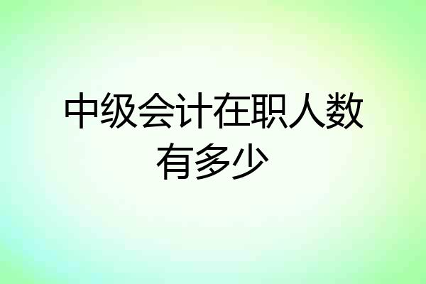 中级会计在职人数有多少