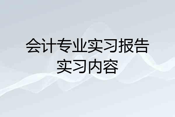 会计专业实习报告实习内容