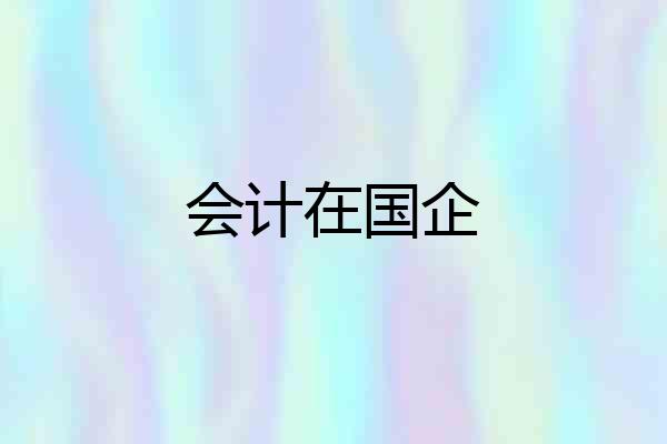 会计在国企