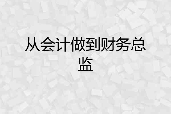 从会计做到财务总监
