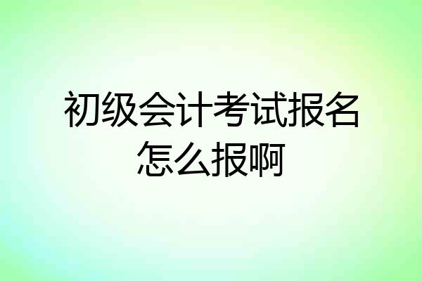 初级会计考试报名怎么报啊