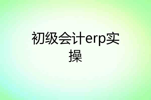 初级会计erp实操