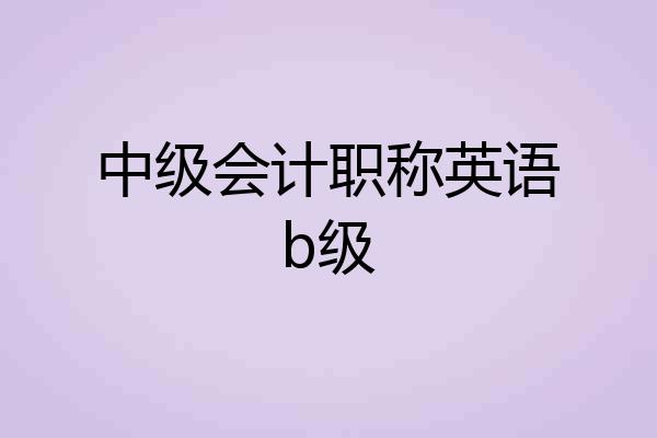 中级会计职称英语b级