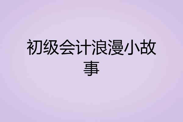 初级会计浪漫小故事