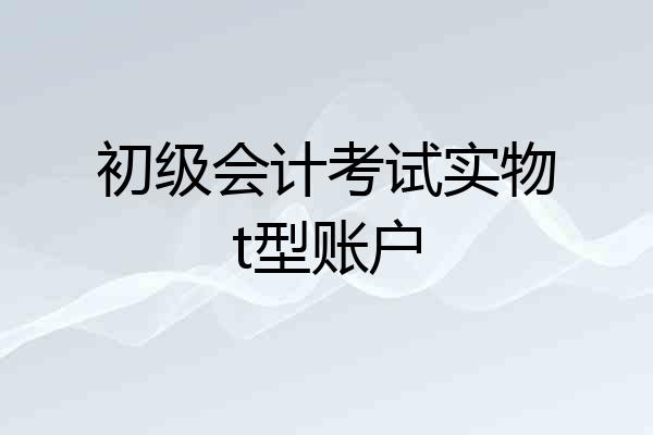 初级会计考试实物t型账户