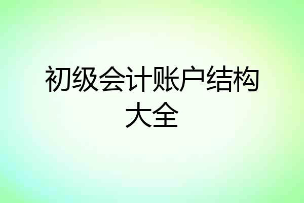 初级会计账户结构大全