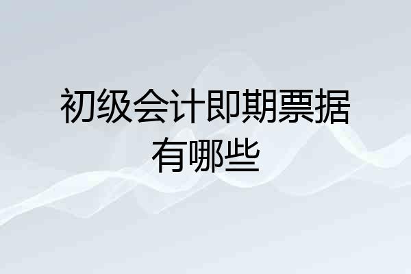 初级会计即期票据有哪些