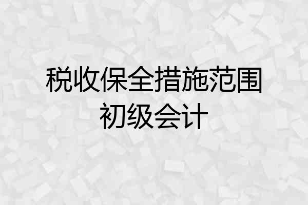 税收保全措施范围初级会计