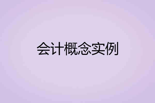 会计概念实例
