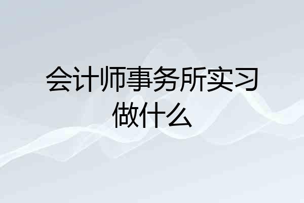 会计师事务所实习做什么