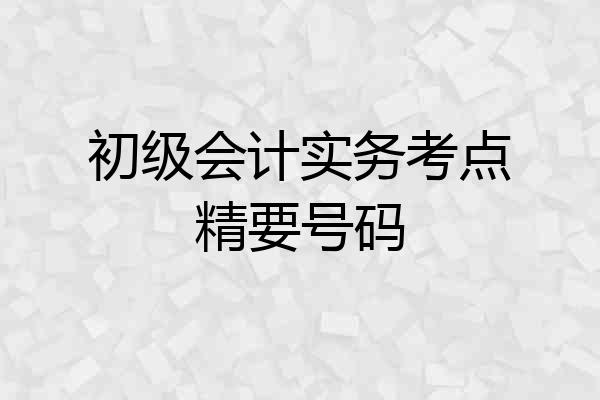 初级会计实务考点精要号码