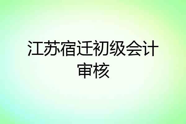 江苏宿迁初级会计审核