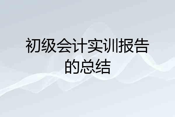 初级会计实训报告的总结