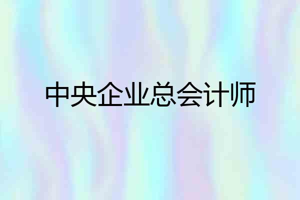 中央企业总会计师