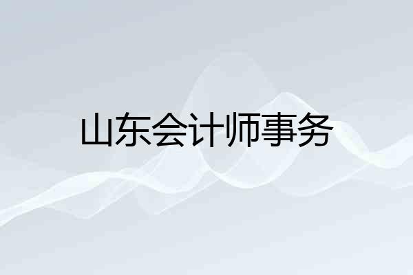 山东会计师事务