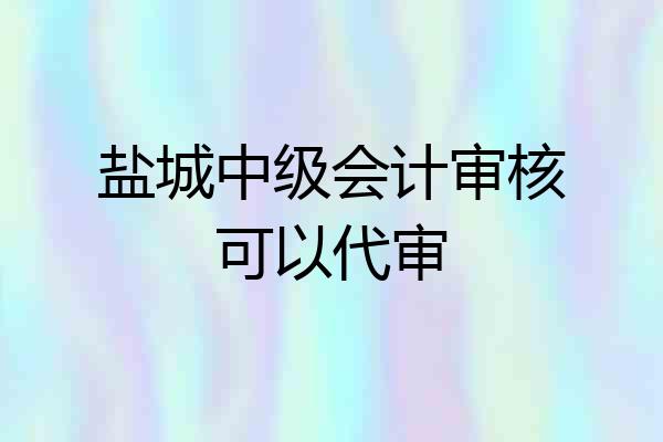 盐城中级会计审核可以代审