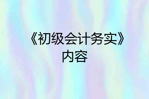 《初级会计务实》内容