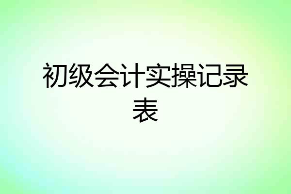 初级会计实操记录表