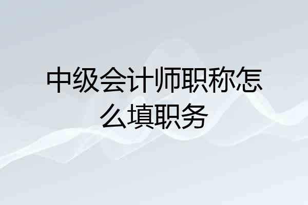 中级会计师职称怎么填职务