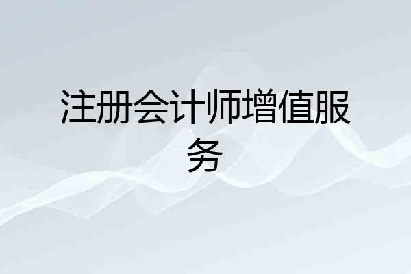 注册会计师增值服务