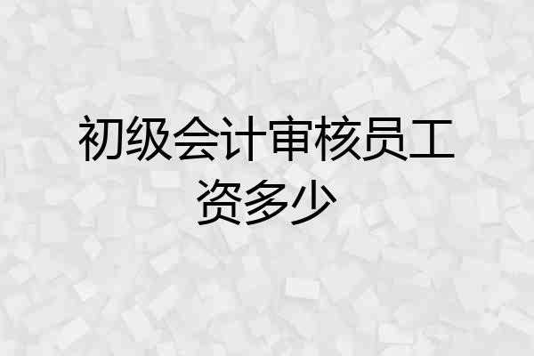 初级会计审核员工资多少