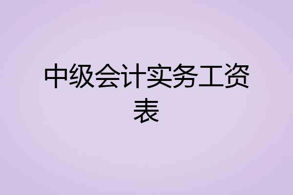 中级会计实务工资表