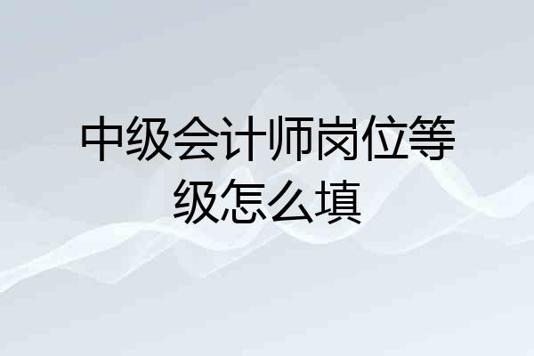 中级会计师岗位等级怎么填