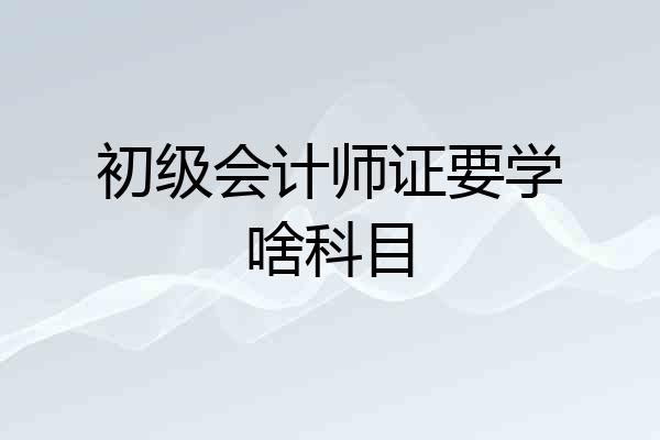 初级会计师证要学啥科目
