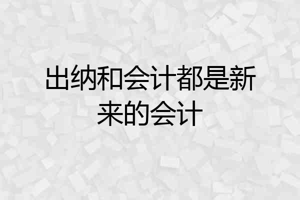 出纳和会计都是新来的会计