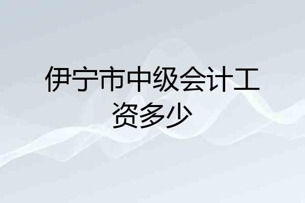 伊宁市中级会计工资多少