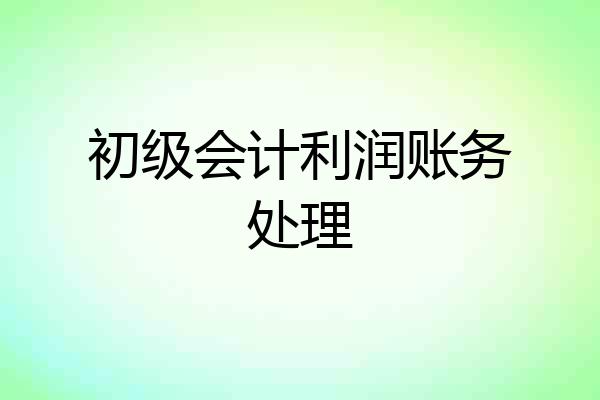 初级会计利润账务处理