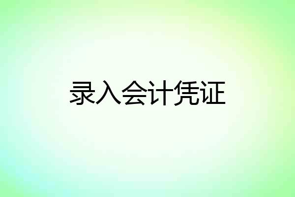录入会计凭证