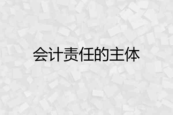 会计责任的主体