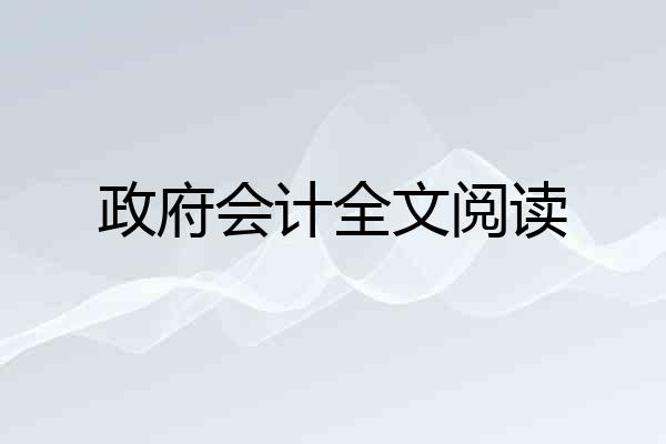 政府会计全文阅读