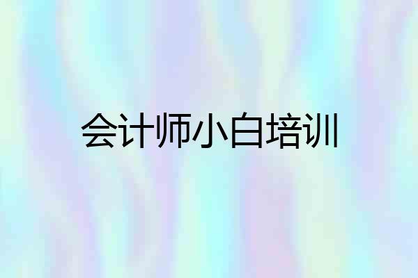 会计师小白培训