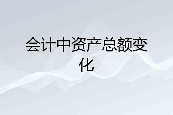 会计中资产总额变化
