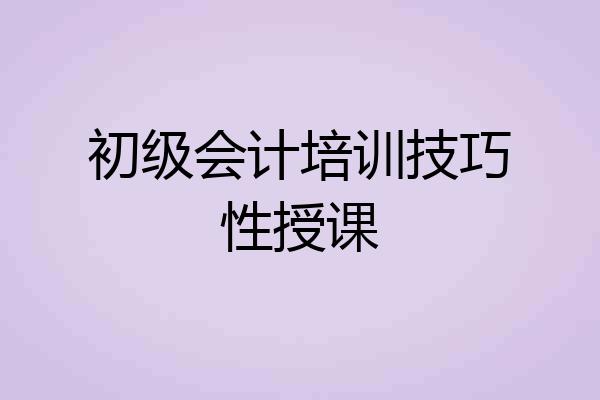 初级会计培训技巧性授课
