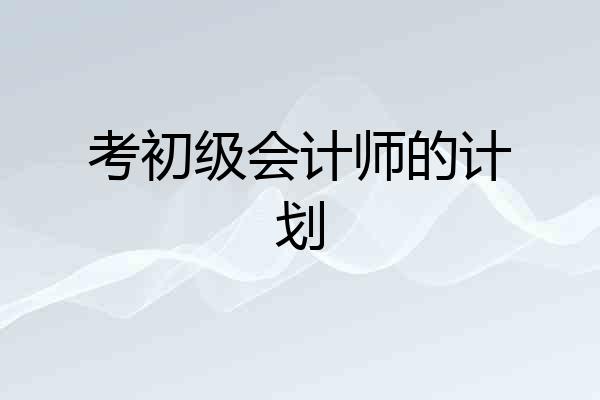 考初级会计师的计划
