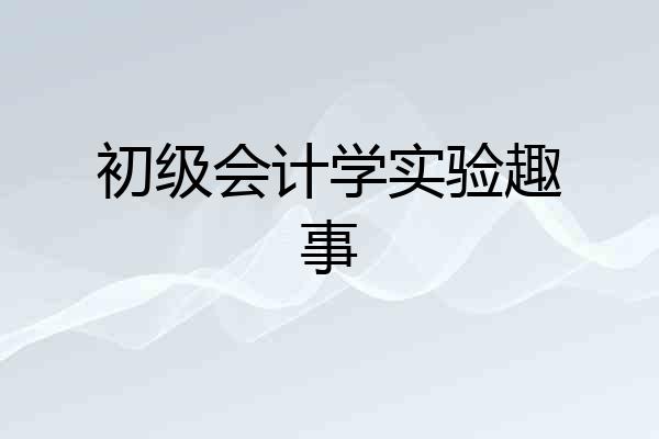 初级会计学实验趣事