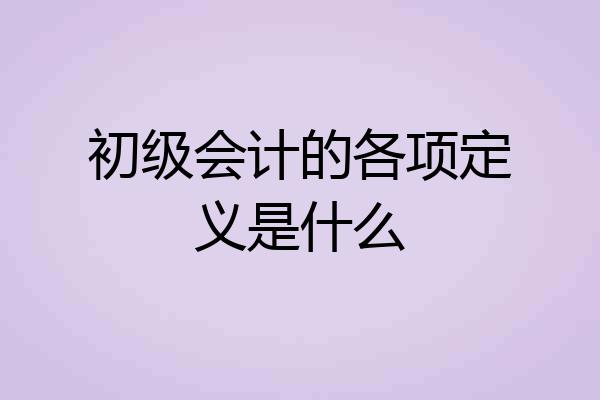 初级会计的各项定义是什么