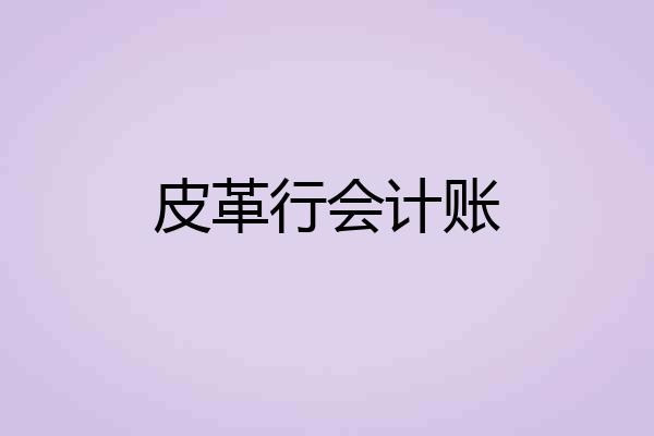 皮革行会计账