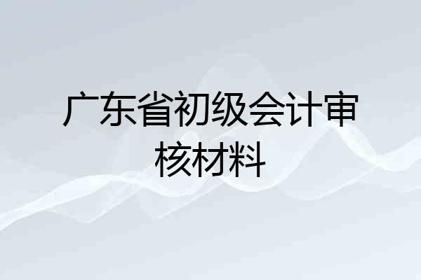 广东省初级会计审核材料