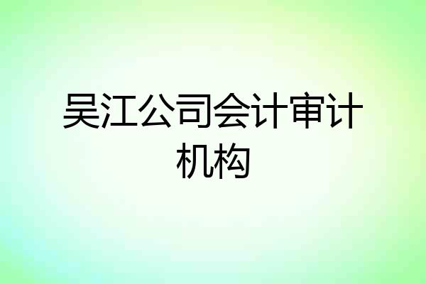 吴江公司会计审计机构