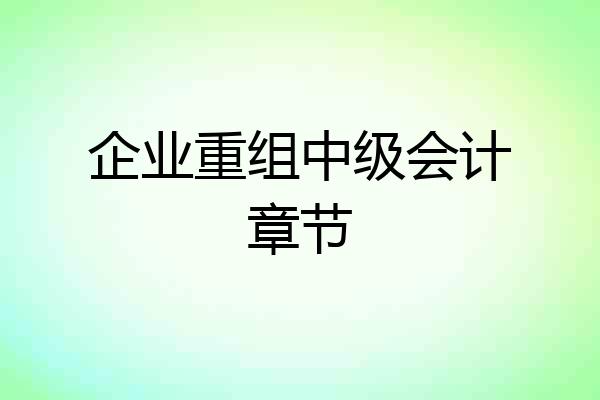 企业重组中级会计章节